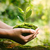 Direito Ambiental