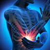 Fisiologia