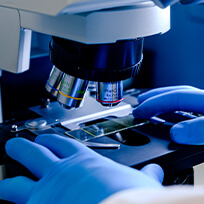 Histologia
