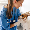 Veterinária