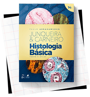 Junqueira e José Carneiro